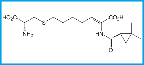 CILASTATIN ACID